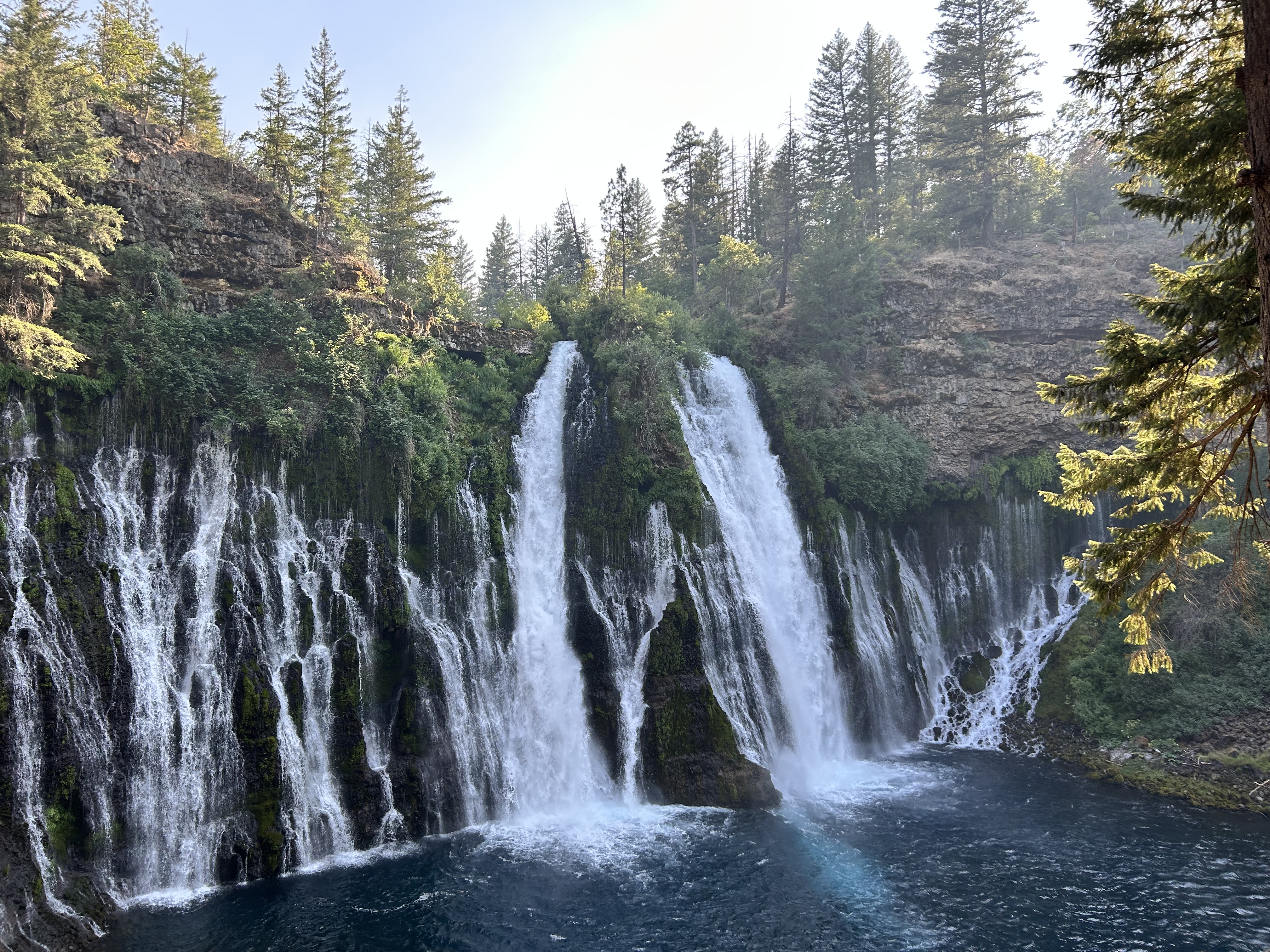 Lassen & Mt. Shasta V