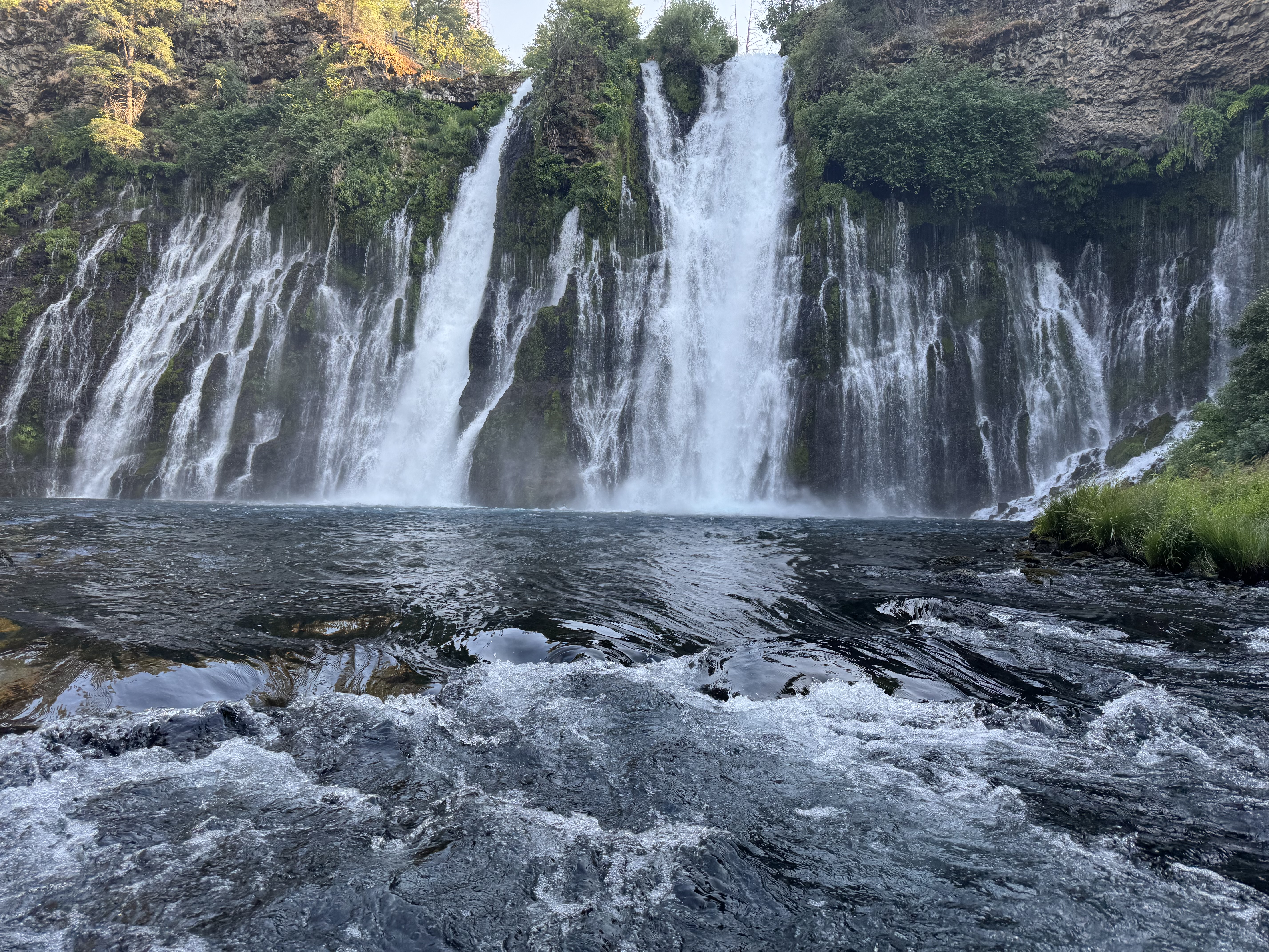 Lassen & Mt. Shasta VIII